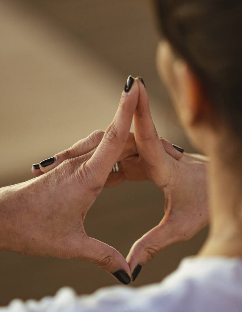 14 Day Longevity Program at RoseBar 2 Week Retreat